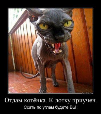Прикрепленное изображение: 1477033626_demotivatory-9.jpg
